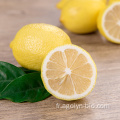 Nouvelle culture Fruits de citron frais de gros prix Prix de gros